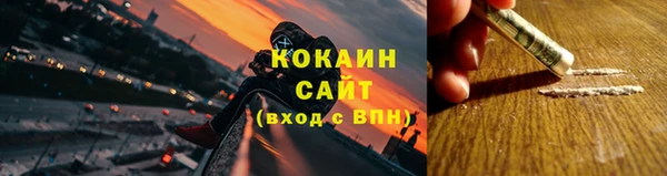 сатива Абаза