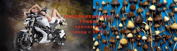 бошки Алексин