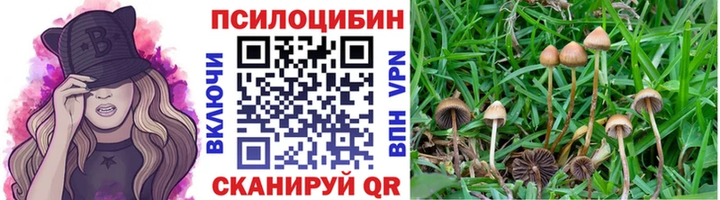 Псилоцибиновые грибы Psilocybine cubensis  гидра зеркало  Тимашёвск 
